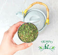 Menta