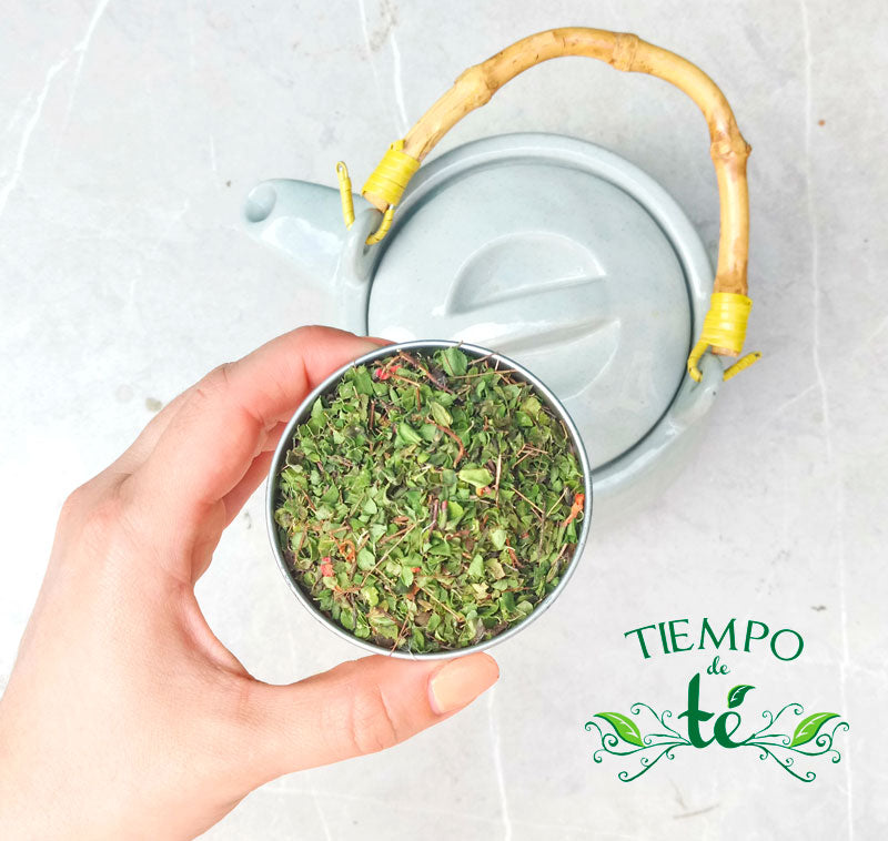 Menta